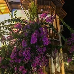 Hotel Murat Pasha Mansion (adults Only) Dalyan