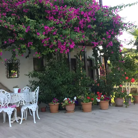 Murat Pasha Mansion (adults Only) Hotel Dalyan