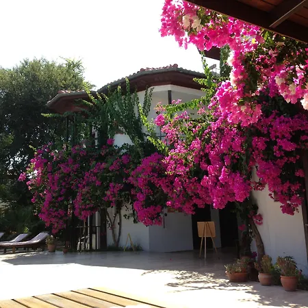 Murat Pasha Mansion (adults Only)